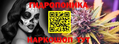 гашик Кунгур