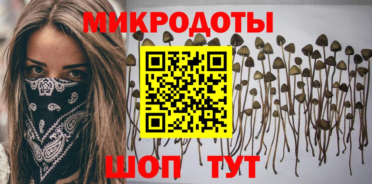 Гагарин  Псилоцибиновые грибы MAGIC MUSHROOMS  Вход с VPN 