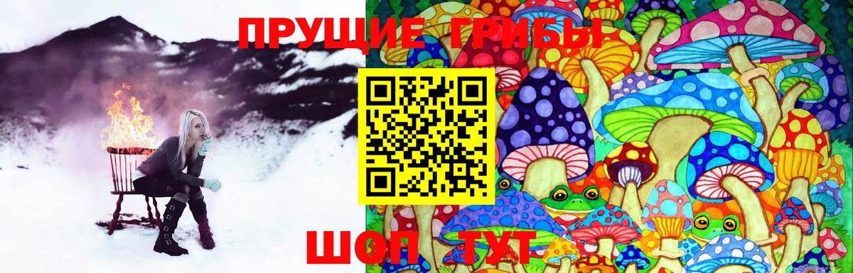 Псилоцибиновые грибы Psilocybe Гагарин